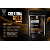 Creatina Gold Ahau 500g- Adicionada con Ginsen y Jalea Real