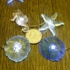 Impress Life Nautical Theme Decorative String Lights, Under The Sea