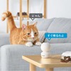 (5 Gwifi Compatible, Latest 8 Megapixel Version) Networked Camera, Pet