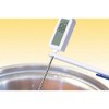 IBILI Digital Thermometer 20 cm, White/Silver, 20 x 3 x