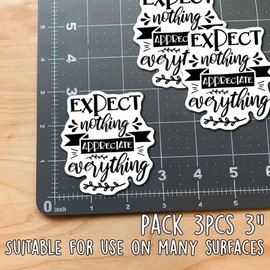 ZANEMIRU (3pcs) Motivational Stickers Inspirational Stickers Expect Nothing Appreciate Everything Weather-Resistance Sticker for Tumbler, Water Bottles, Laptop, Car, Bumper Sticker