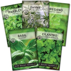 Sow Right Seeds - Hydroponic Herb Seeds for Planting - Basil, Thyme, Cilantro, Parsley, and Mint Seeds for Planting and Growing a Hydroponic Garden Indoors - Perfect for Your Growing Tower or System