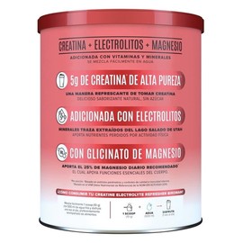 Suplemento Alimenticio Birdman Creatine Refresher Watermelon Spl 300gr