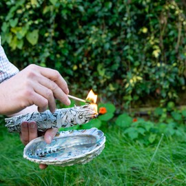 8-9'' XXL Smudge Stick! 70-80gr weight - Original - directly imported from Californa. White Sage salvia apiana