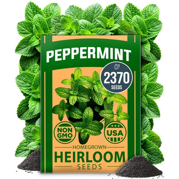 HOME GROWN Peppermint Seeds Pack – 2,370 Non-GMO, Heirloom Mint