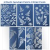 38 Sheets Cyanotype Sun Print Kit With 2 Clear Acrylic