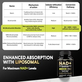 Suplemento NAD 1800mg - Liposoma Nicotinamida Riboside NR con Resveratrol | Boost NAD Plus Levels for Women & Men, Advanced, Cellular Immune Health, E