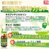 Ribet Corporation Ginkgo Leaf Extract Plus 30 Day Supply DHA