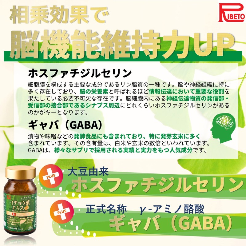 Ribet Corporation Ginkgo Leaf Extract Plus 30 Day Supply DHA