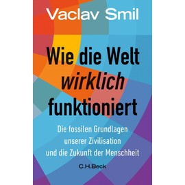 Wie die Welt wirklich funktioniert: Die fossilen Grundlagen unserer Zivilisation und die Zukunft der Menschheit