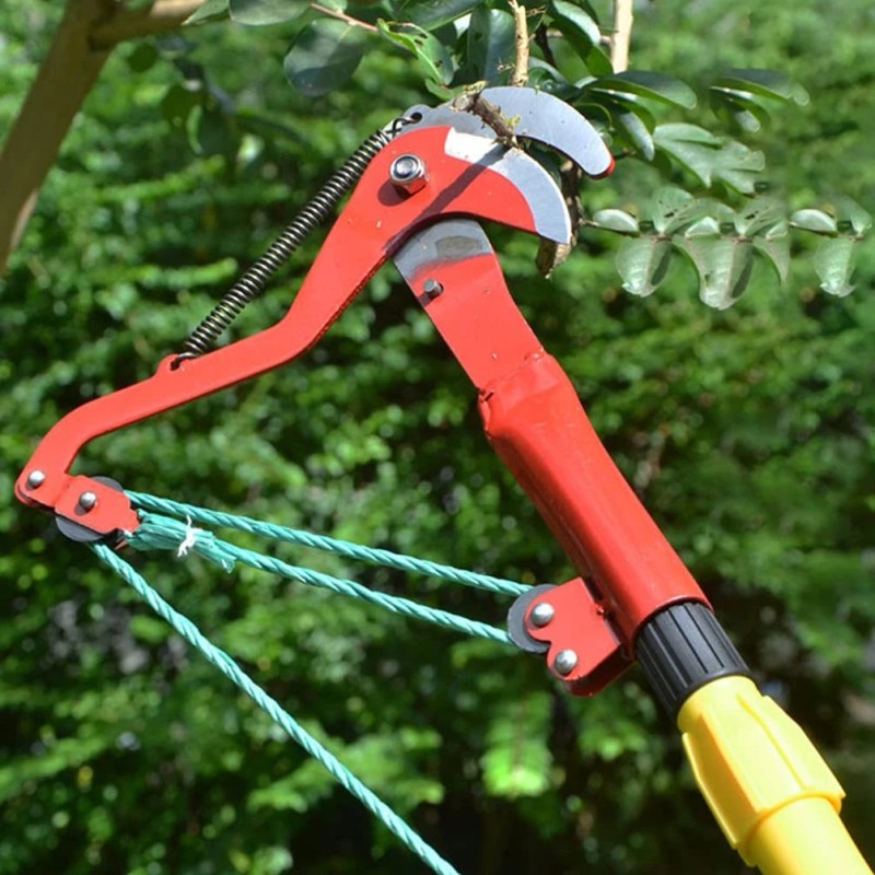 Angoily Tree Pruner Manual Pole And Tree Pruner Harvester Gardening