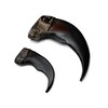 Bear Claw Replica