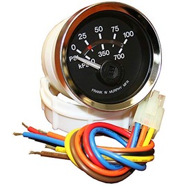 Murphy by Enovation Controls EGS21P-100-12 Electric Pressure Swichgage® (05702405)