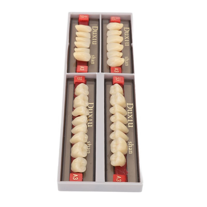 Dental Synthetic Resin Denture Tooth Professional Men Women Shade A3