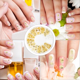 Healeved 2 Pcs Nail Art Rivet Seashell Nail Charms Small Ocean Glitter Nail Decorations Golden Nail Charms Glitter Nails Art