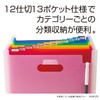 Shinseki Say Document Stand Ad One Rainbow A4 horizontal Ad – 2700 