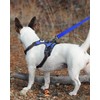 Joytale Padded Handle Dog Lead,Double-Sided Reflective Nylon Dogs Leads for