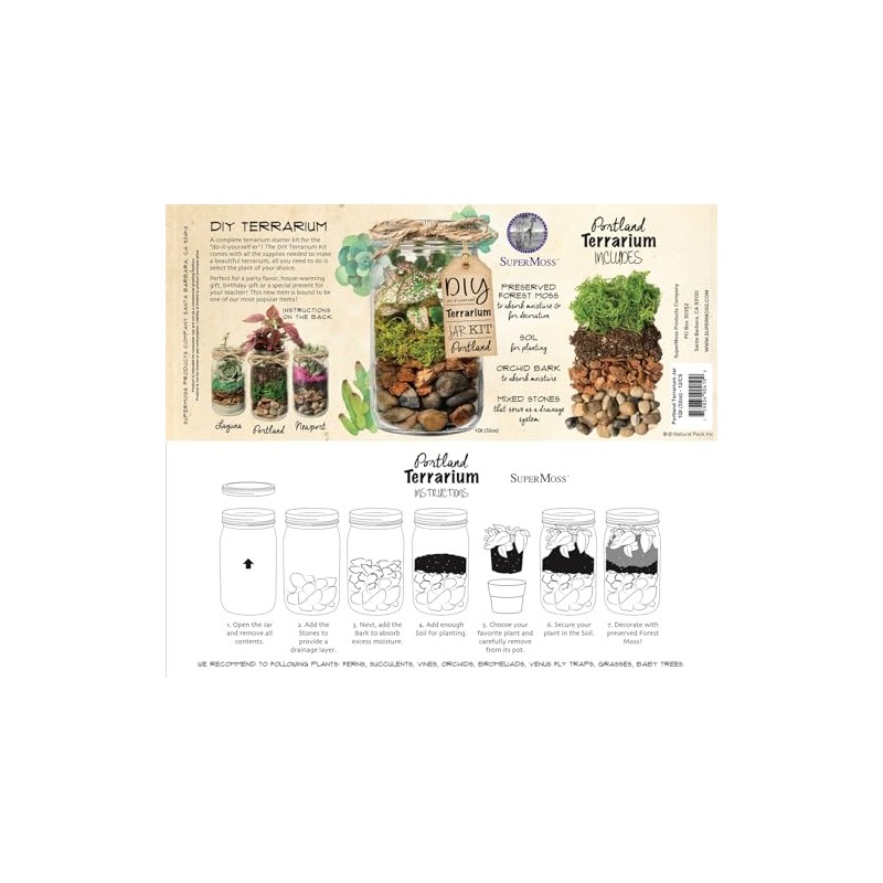Portland Terrarium kit - DIY Mason Jar Terrarium Kit