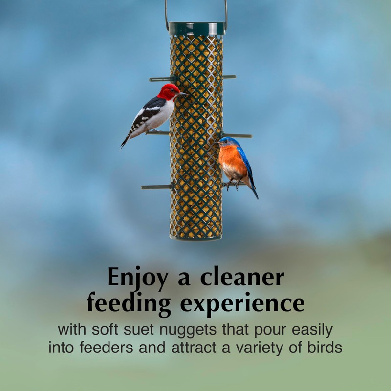 C&S Bluebird Nuggets