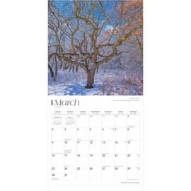 BrownTrout, Minnesota Wild and Scenic 2025 Wall Calendar