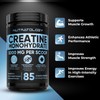 Pure Micronized Creatine Dissolves Easily | Creatine Monohydrate Powder 425g