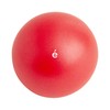 Sakurai Boeki #54147 Erugam Fitness Ball, Abdominal Muscle Tama