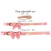 Pettsie Dog Collar Bow Tie & Owner Friendship Bracelet, Adjustable