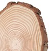 Natural Wood Slices Unfinished Wood Circles Ornaments Irregular Wood Slices