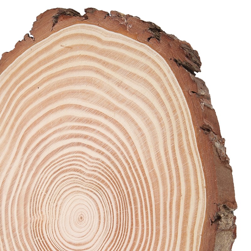 Natural Wood Slices Unfinished Wood Circles Ornaments Irregular Wood Slices