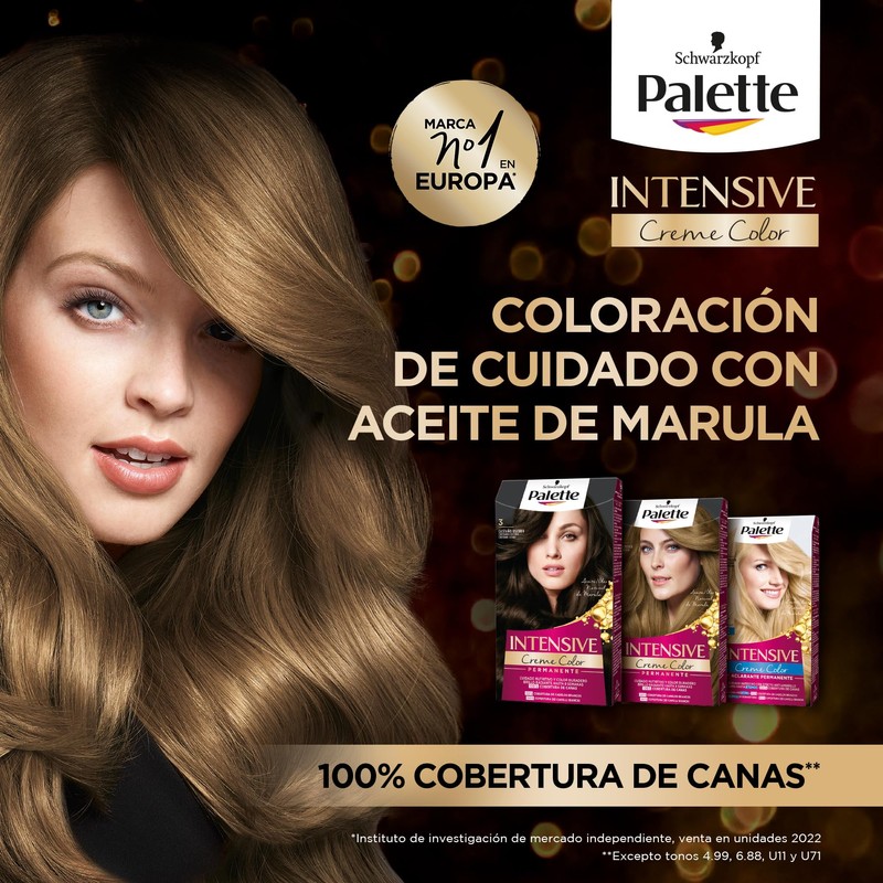 Pallet Icc 5.68Castañoroj Es