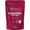 Wellthy Pure Berberine 500mg Supplement – 100% Berberis Aristata, 40
