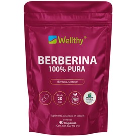 Wellthy Pure Berberine 500mg Supplement – 100% Berberis Aristata, 40 Vegan Capsules