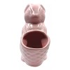 Muna Maceta De Cerámica Esmaltada Decorativa En Forma Conejo