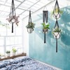 Mkono Macrame Plant Hangers, 5 Pack Different Tiers Indoor Hanging