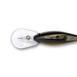 LMAB Crankbait 5.5 cm Power Vibe 55F - 3 Running Depths, Floating - Wobbler Bass, Crankbait Wobbler, Artificial Bait Fishing, Perch Wobbler, Spin Fishing Bait (Golden Roach, DR | Running Depth 3-4 m |