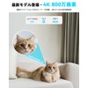 Pet Camera, Surveillance Camera, 4K Indoor Camera, Blurams, AI Motion