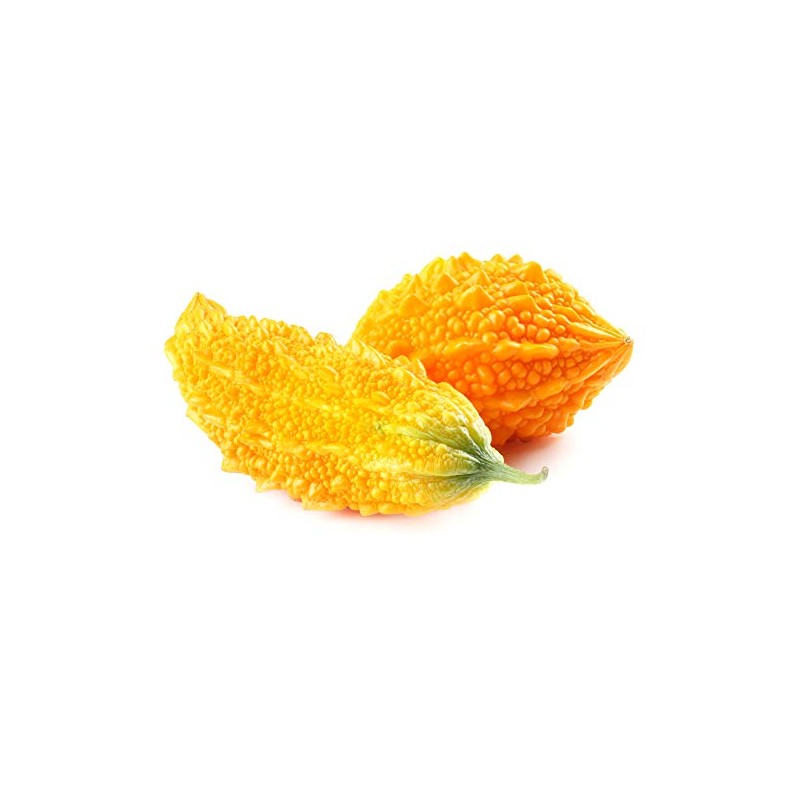 Bitter Gourd Seeds - .25 Oz ~38 Seeds - Non-GMO,