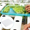 Hydroponic Sponge Blocks, Set of 100, Polyurethane Sponges, Planting Sponges,