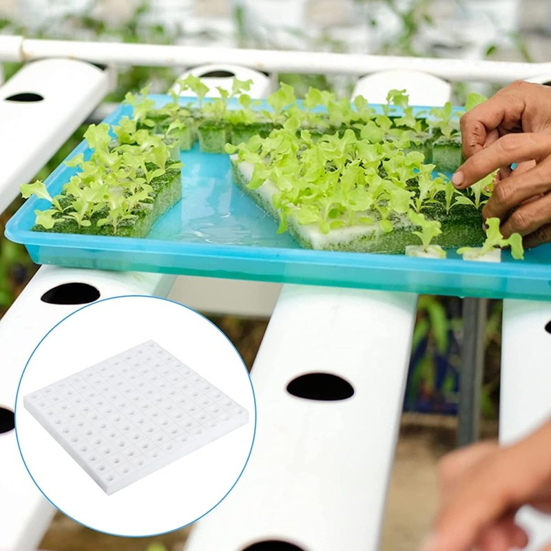 Hydroponic Sponge Blocks, Set of 100, Polyurethane Sponges, Planting Sponges,