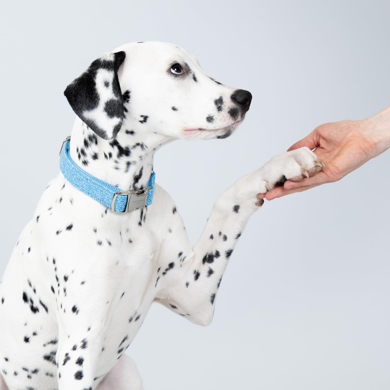 HUGO & HUDSON Tweed Dog Collar, Luxury Adjustable Quick Release
