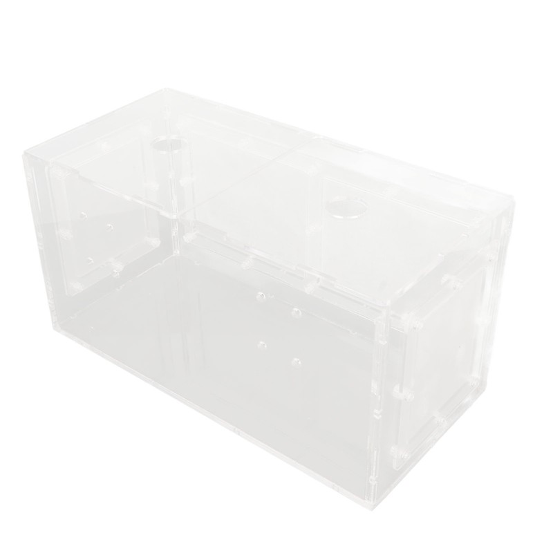 Fish Breeding Isolation Box Transparent Mesh Side Fish Tank Incubator
