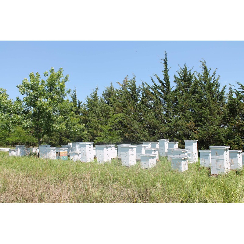 Raw Honey Pure Natural Nebraska Honey One 5lb Jug