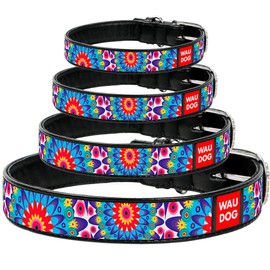 WAUDOG Design Leather Dog Collar for Puppy Small Medium and Large Dogs Summer Meadow - Boy & Girl Leather Dog Collar - Leather Buckle Dog Collar (14 3/5" - 18 4/5" Neck 1" Wide, Black)