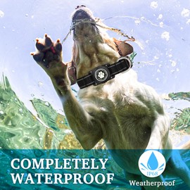 OKVSKO Airtag Dog Collar, Nylon Collar with Waterproof Air Tag Holder, Luminous Reflective Adjustable Pet Collar for Small Medium Large Heavy Duty Dogs,Black, M