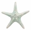 Large Ocean Coral Sea Star Shell Starfish Statue 8"L Nautical Coastal Decor