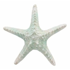 Large Ocean Coral Sea Star Shell Starfish Statue 8"L Nautical Coastal Decor