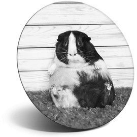 Destination Vinyl ltd Magnet for Refrigerator, Fridge BW - Cute Fat Guinea Pig Pet Rodent for Office, Cabinet and Whiteboard, Magnetic Stickers, 37690