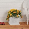 Fox Valley Traders Rattan-Style Planter Box