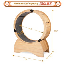 Cat Exercise Wheel, Cat Wheel with Carpeted Runway, Cat Running Wheel for Indoor Cats, Kitty Cat Sport Toy, Great for Physical Activity and Reducing Boredom (Basic Model)