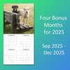 2026 Labs Monthly Wall Calendar | 12" x 24" |